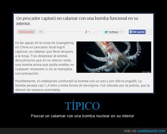 guerra nuclear impulsada por los calamares,calamar,bomba nuclear,oceano,japón,kraken,pescador,el pescador tenía conocimientos de bombas nucleares porque la reconoció,johnny deep,piratas del caribe,mar,eeuu piensa intervenir el mar,etiquetas